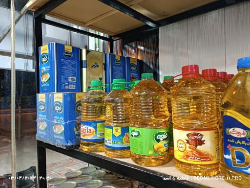 عکس پخش برنج حقیقت (نارویی)