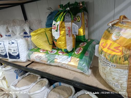 عکس پخش برنج حقیقت (نارویی)