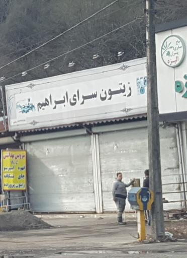 عکس زیتون سرای ابراهیم