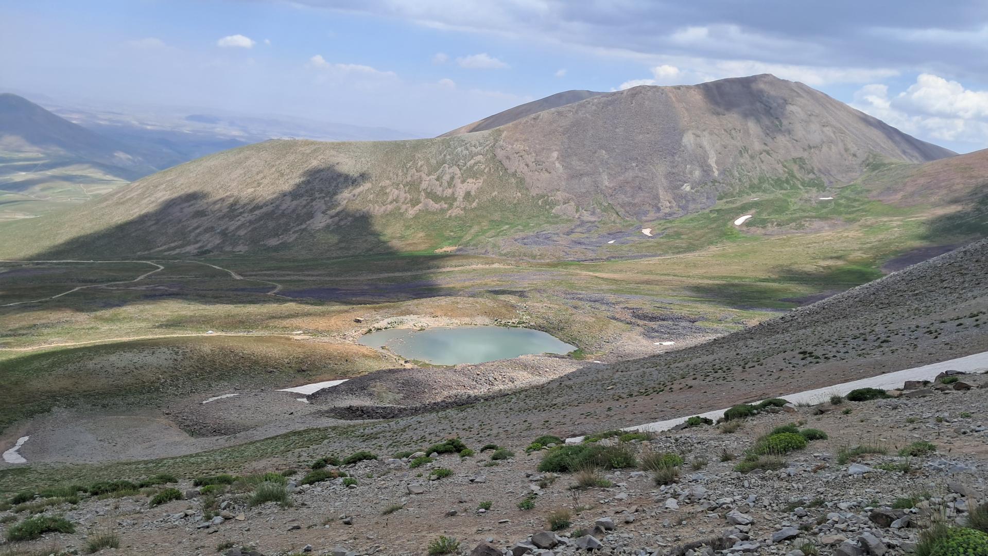 عکس قوش گولی