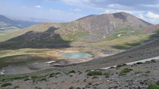 عکس قوش گولی