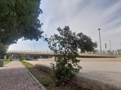 پارک جزیره اهواز