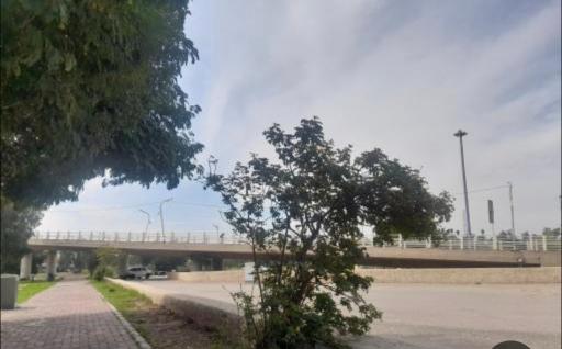 عکس پارک جزیره اهواز