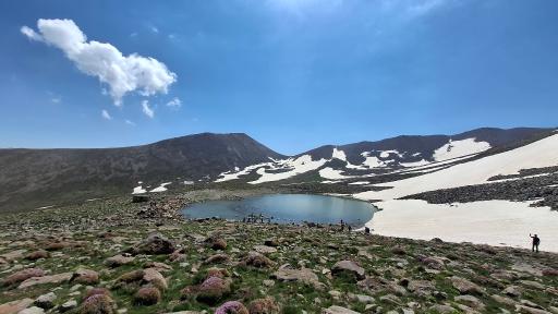 عکس قوش گولی