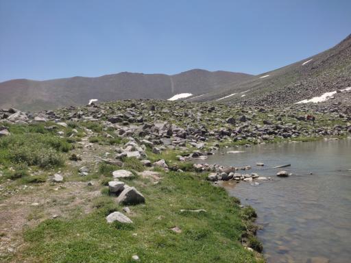 عکس قوش گولی