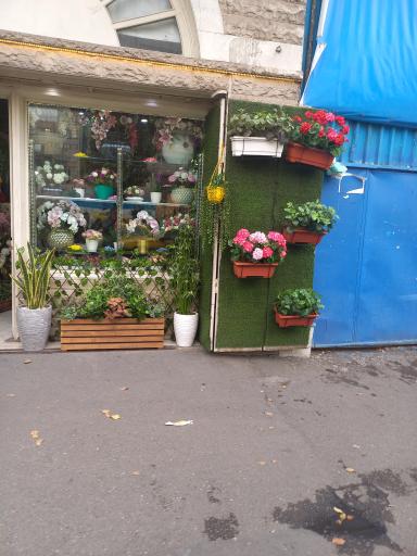 عکس بازار گل تهران