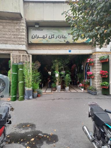 عکس بازار گل تهران