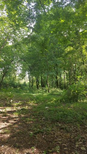 عکس مجتمع تفریحی توریستی سی سنگان