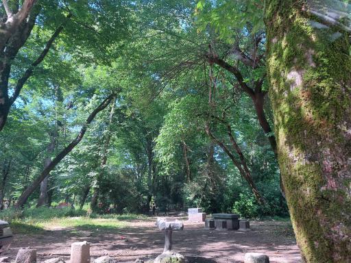 عکس مجتمع تفریحی توریستی سی سنگان