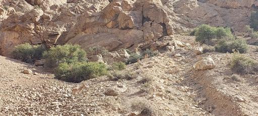 عکس مهدی‌شهر