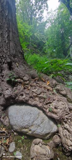 عکس مهدی‌شهر