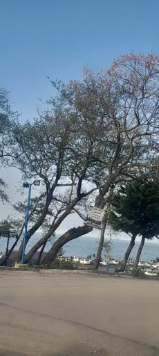 عکس مجتمع تفریحی توریستی سی سنگان