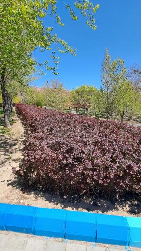 پارک شمس تبریزی