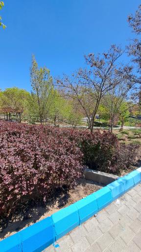 پارک شمس تبریزی