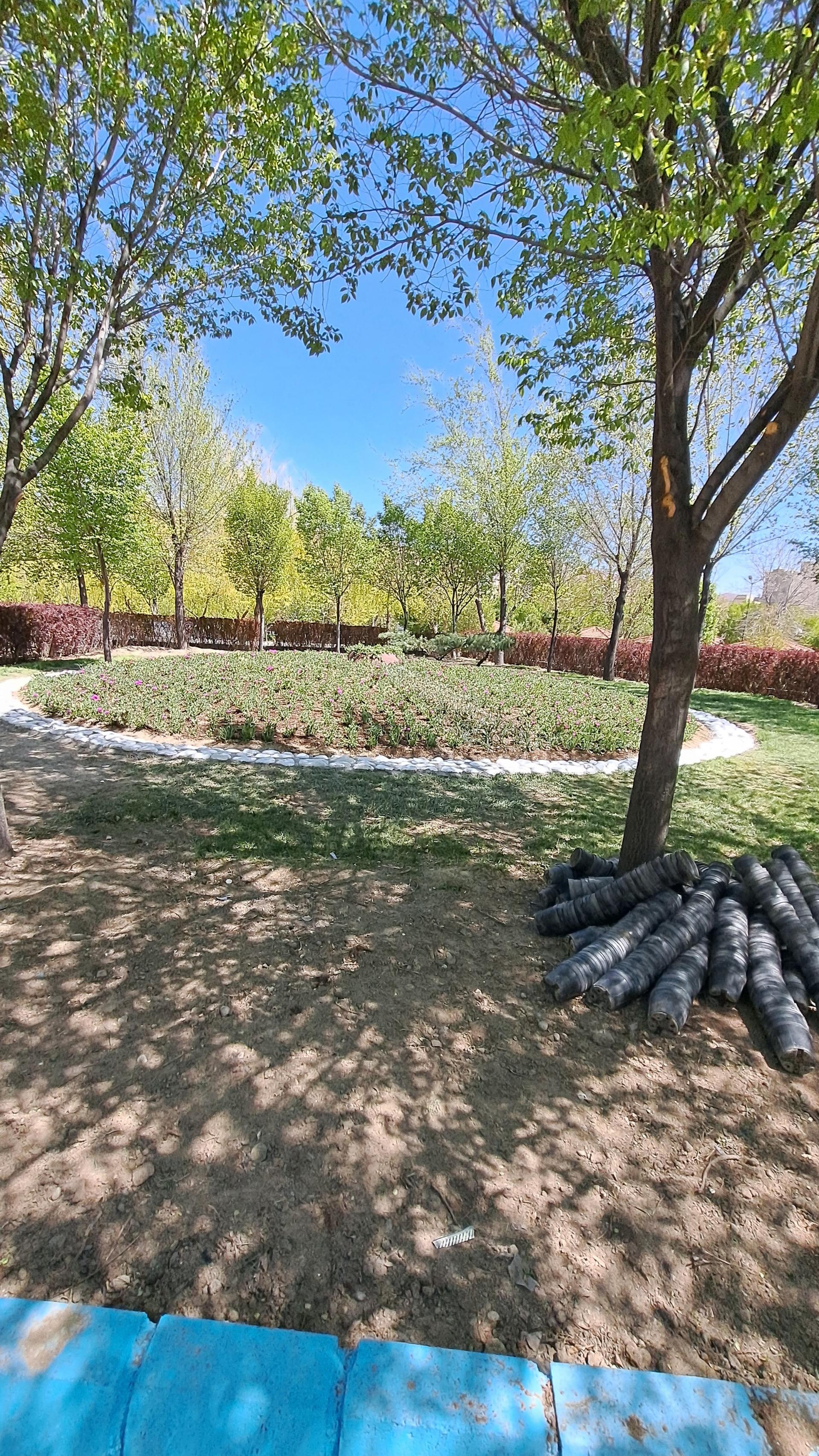 عکس پارک شمس تبریزی