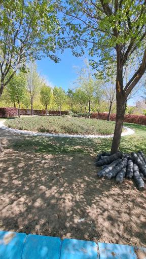 پارک شمس تبریزی