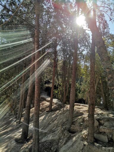 عکس پارک شهدای کسنویه