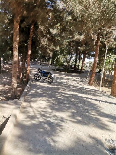 عکس پارک شهدای کسنویه