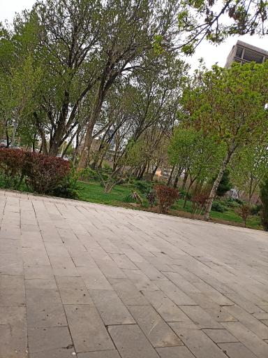 عکس پارک شمس تبریزی