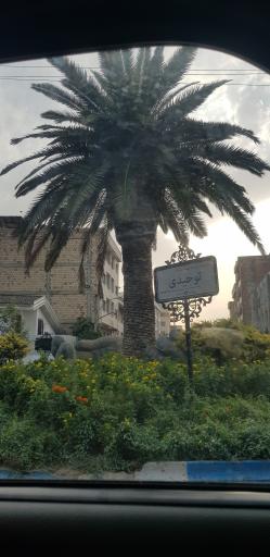 عکس میدان توحیدی