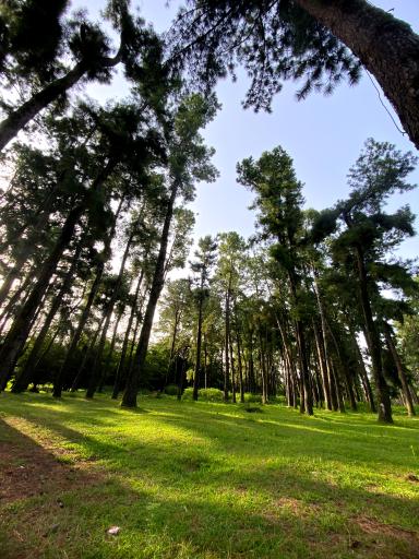 عکس مجتمع اقامتی فتحی