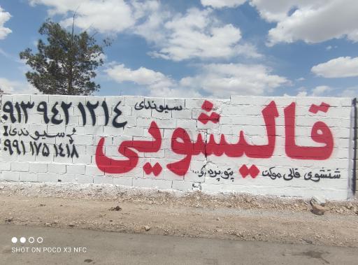 عکس قالی شویی سیوندی