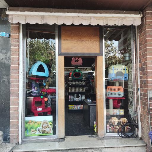 عکس فیدو شاپ