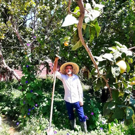 عکس اقامتگاه بوم گردی خانه سیب سمیرم