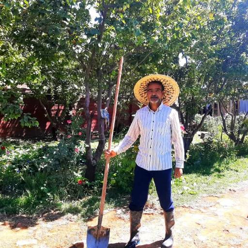 عکس اقامتگاه بوم گردی خانه سیب سمیرم