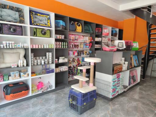 عکس کلینیک دامپزشکی پت پارادایس