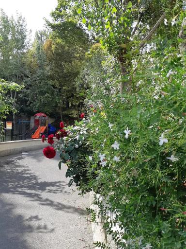 عکس مجتمع مسکونی فارابی