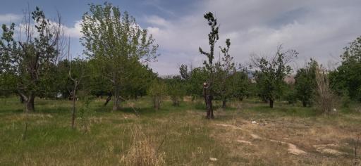 عکس آزمایشگاه آب، خاک، گیاه و کود