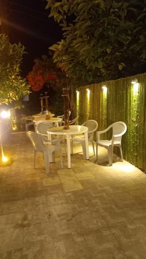 عکس غذای خانگی زری بانو