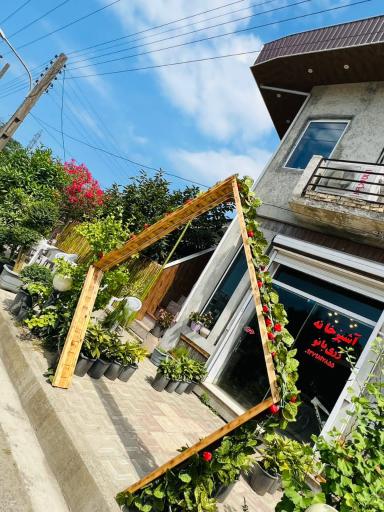 عکس غذای خانگی زری بانو