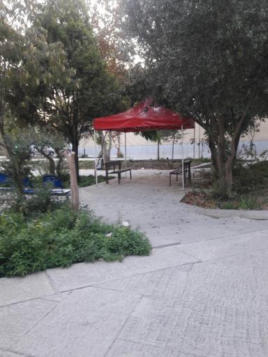 عکس کتابخانه امیرالمومنین (ع)