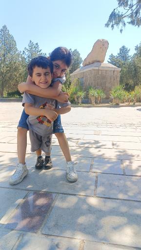 عکس مجسمه شیر سنگی