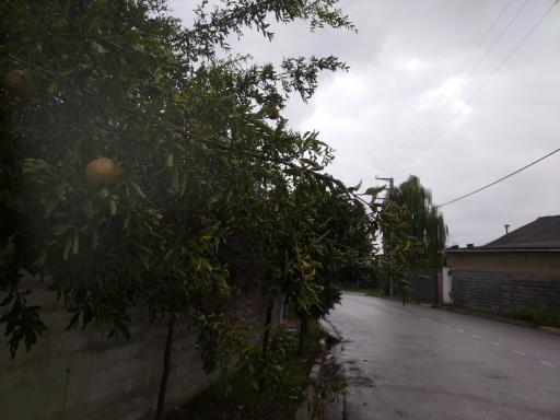 عکس بی نمد