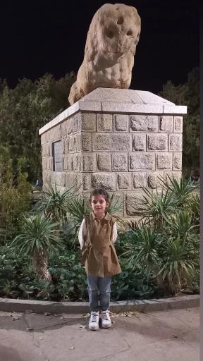 عکس مجسمه شیر سنگی