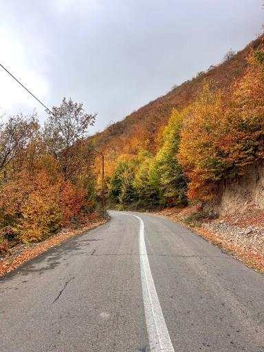 عکس دلیر