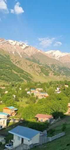 عکس دلیر