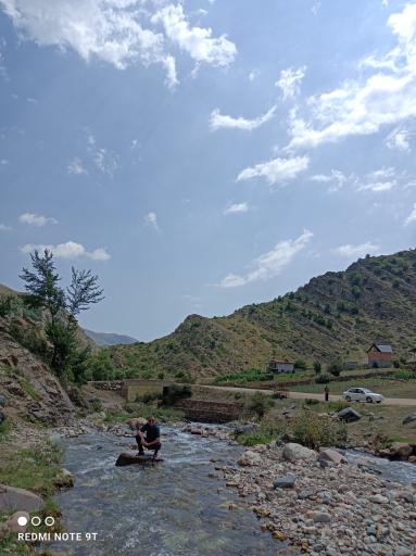 عکس دلیر