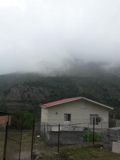 عکس دلیر