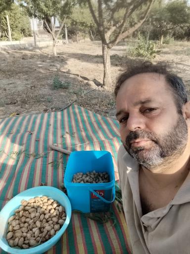 عکس بختیار