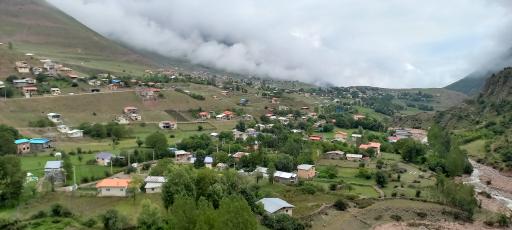 عکس دلیر