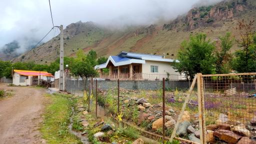 عکس دلیر