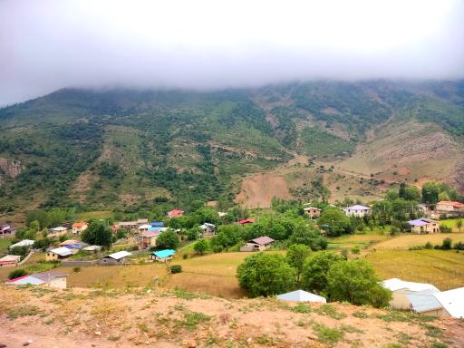 عکس دلیر