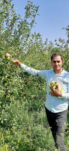 عکس باغ کریم رحمانی واحد