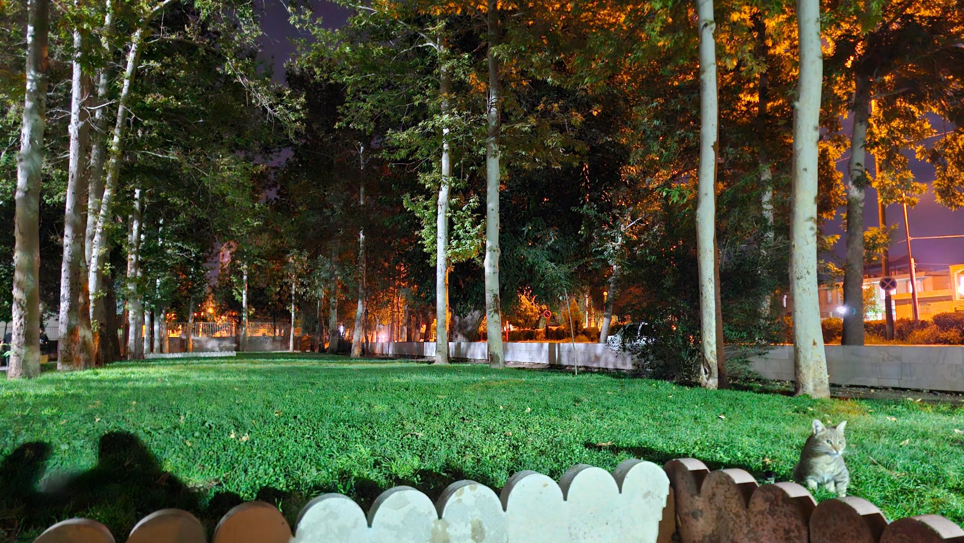 عکس پارک شهر