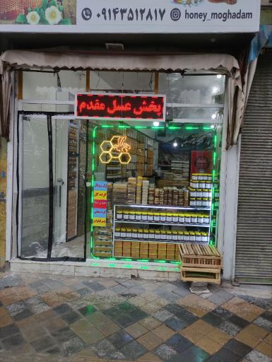 عکس پخش عسل مقدم