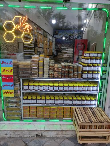 عکس پخش عسل مقدم